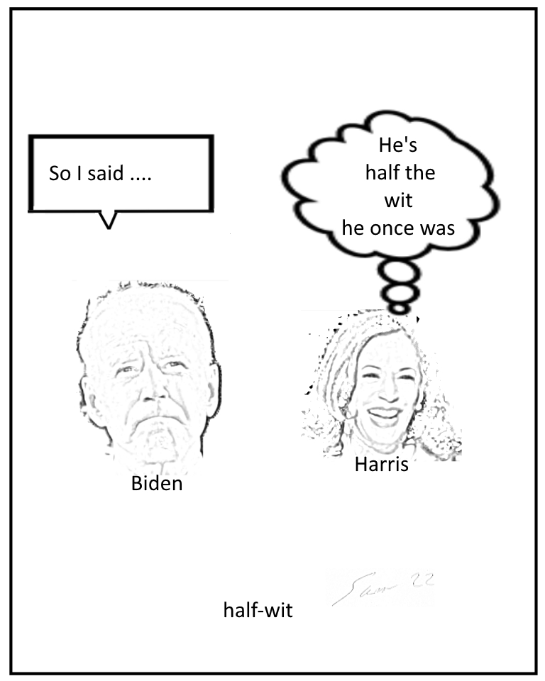 Biden & Harris wit