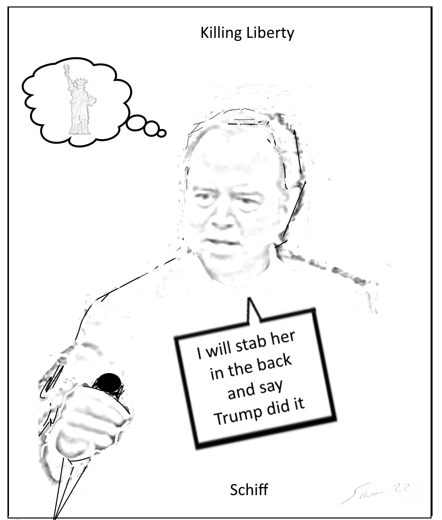 Killing Liberty – Schiff