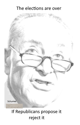 Schumer – Damn the  voters